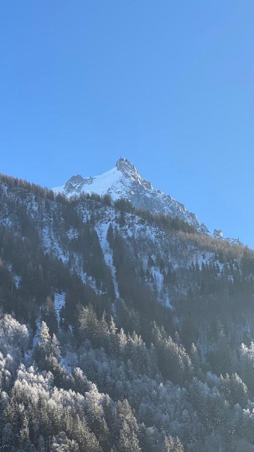 Chamois de Chamonix, Confortable 2 pièces, balcon, parking gratuit Extérieur photo